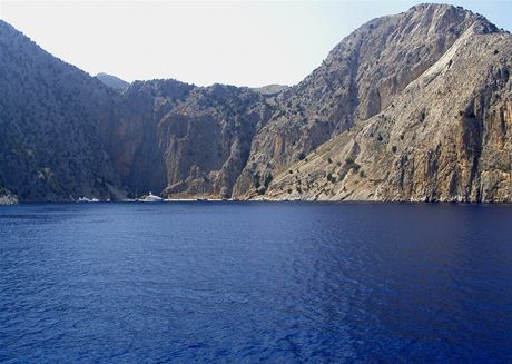 TOM2a2d35_symi2.jpg